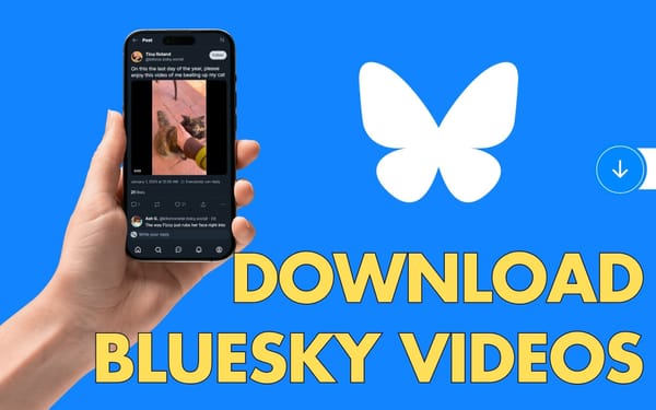 How to Download Bluesky Videos - Best Online Tool